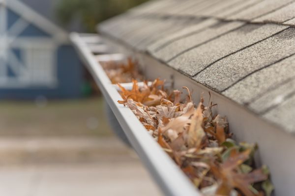Leaf Barrier Installation in Bluffton